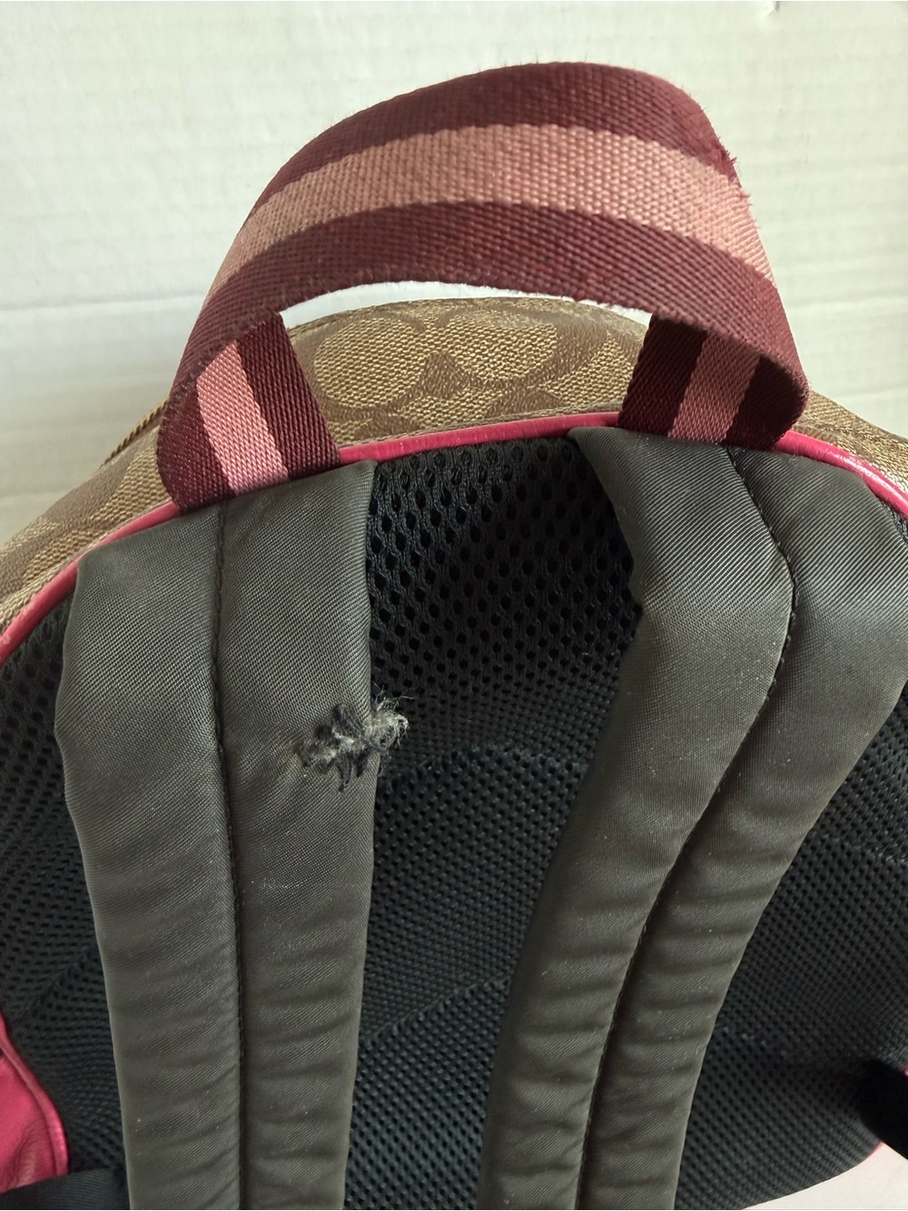 Court Backpack In Signature Canvas c8522 - Picture 5 of 14